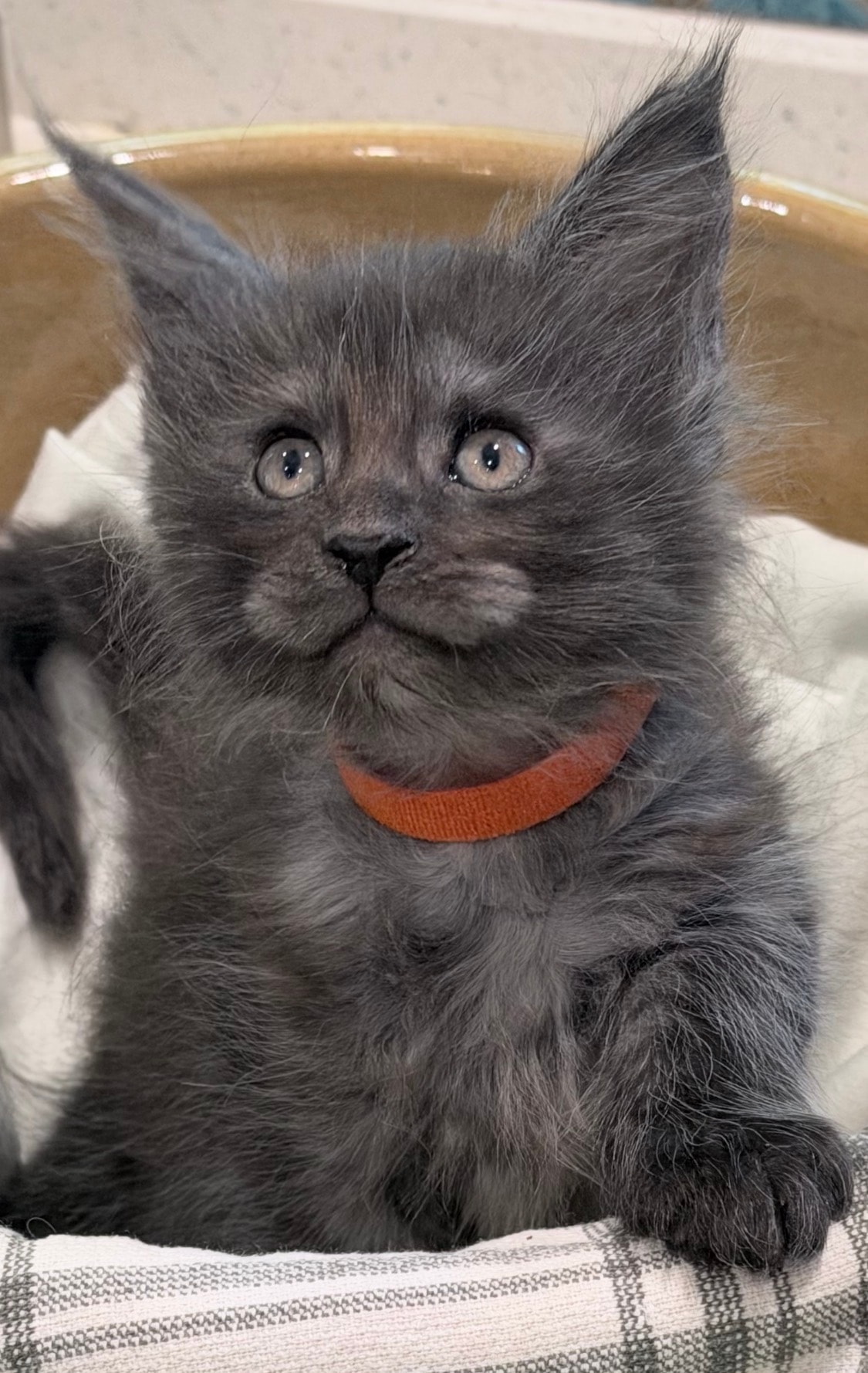 Isadora-Belle (Is-adora-ble | is adorable)
